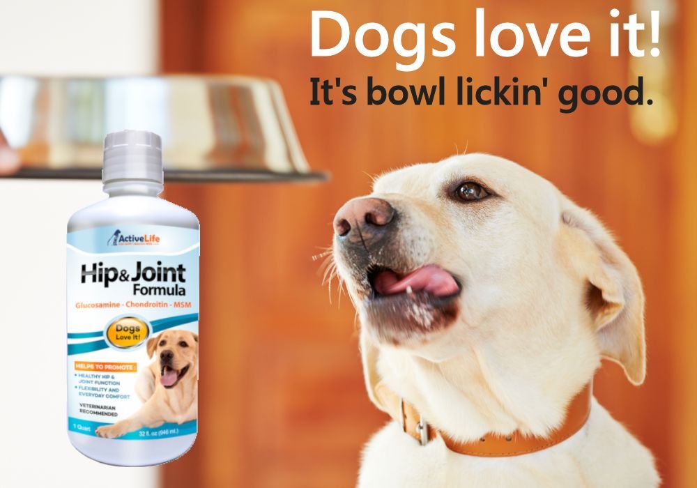 Dog Health Safe Medicine For Dogs Medicine Information Center