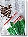 Swiss Chard Seeds Canvas Print / Canvas Art - Artist Will Borden