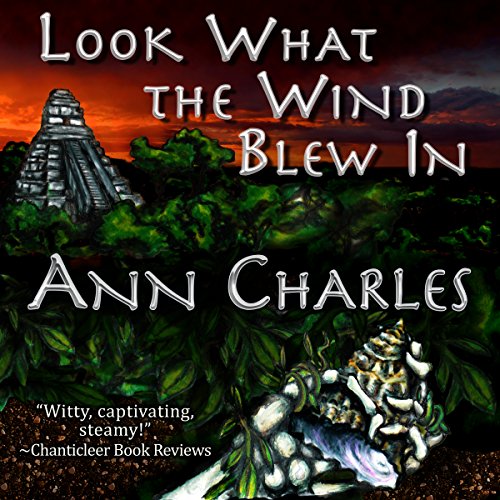 Look What the Wind Blew In: A Dig Site Mystery, Book 1, by Ann Charles