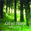 Celtic Harp
