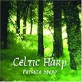 Celtic Harp