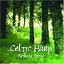 Celtic Harp