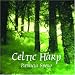 Patricia spero, Celtic harp