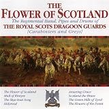 Flower of Scotland