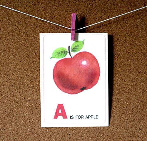 Z is for Zebra Alphabet ABC Flash Cards | Set of 26 | Mini Size