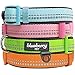 Blueberry Pet Collars For Dogs 3M Reflective Neoprene Padded Dog Collar in Pastel Colors, Matching Leash & Harness Available Separately