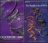 Howard Hughes Medical Institute Lecture Science Series: The Double Life of RNA, Clockwork Genes, Scanning Life's Matrix, Of Hearts and Hypertension [8 VHS Videos]