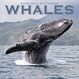 Whales 2013 Wall Calendar #30108-13