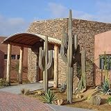 saguaro steel cactus 14 foot 5 arms