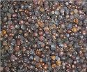 Juniper Berries