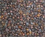 Juniper Berries