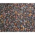 Juniper Berries 4 oz.