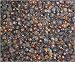 Gourmet Food : Juniper Berries 4 oz.