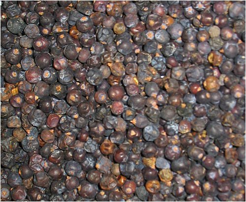 Childrens Toyshop  Gourmet Food : Juniper Berries 4 oz.