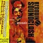 Sounding a Mosaic (Bonus Dvd)