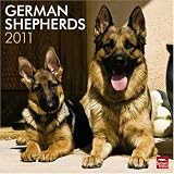 61wdlIhTFYL. SL160  German Shepherd Calendar 2011