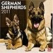 German Shepherds 2011 Square 12X12 Wall Calendar