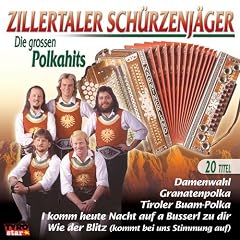 Die Grossen Polkahits [Edizione: Germania] [Import]