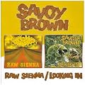 Raw Sienna / Looking In