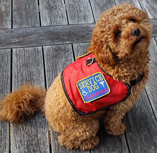 Westwood Research Laboratories Authentic Service Dog Vest Extra Large