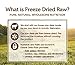 Instinct Raw Boost Grain Free Lamb & Salmon Meal Formula Natural Dry Dog Food By Nature'S Variety, 23.5 Lb. Bag