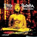 Little Buddha by Sam Popat