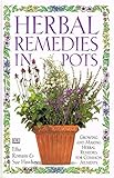 Herbal remedies in pots
