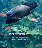 Sea Aquarium