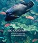 Sea Aquarium