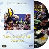 The Coral Fish Collection