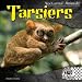 Tarsiers (Nocturnal Animals)