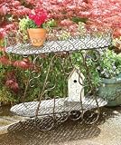 2 Tier Plant Stand with Tray Table in Antique Bronze Finish