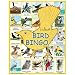 Bird Bingo by Channel Craft