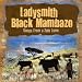 Songs From a Zulu Farm