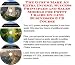 Check out The Guru's Make An Extra Income, Success Principles and Sales Models for Potty Chairs On-line Businesses 3 CD Course