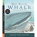 Big Blue Whale with Audio: Read, Listen & Wonder
