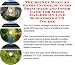 The Guru's Earn More Money, Marketing and Inner Game for Media Mailers On-line Businesses 3 CD Power Pack