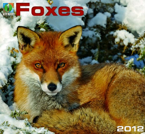 2012 Foxes Wall calendar Nature (Calendars))