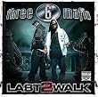Last 2 Walk