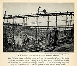 1937 Print Mining Tin Geology Malaysia Scaffolding Tinstone Asia Wheelbarrow - Original Halftone Print