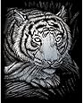 Royal Brush Silver Foil Engraving Art Kit, 8-Inch by 10-Inch, White Tiger