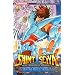 Saint Seiya - The Lost Canvas, Tome 19 :