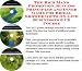 Book The Rich Man's Promotion, Success Principles and Inner Game for Bridal Shower Gifts On-line Businesses 3 CD Course