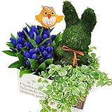 ほんまもん屋 遅れてごめんね 敬老の日 ギフト 苔で出来たナチュラルな インテリアグリーン トピアリーモス (うさぎ)