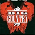 The Buffalo Skinners