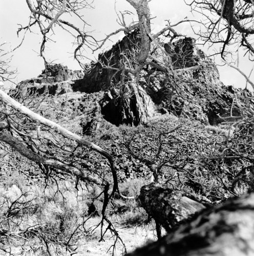 Lee Friedlander: New Mexico