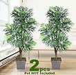 TWO 6' Phoenix Palm Artificial Trees with 5 Heads, with No Pot,