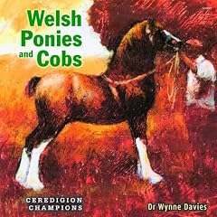 Welsh Ponies and Cobs: Ceredigion Champions