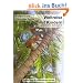 Weltreise mit Kindern: Logbuch eines Sabbatjahres