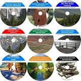 The Incomparable 9 Audio CD No Money Down, Millionaire Making Real Estate Program
